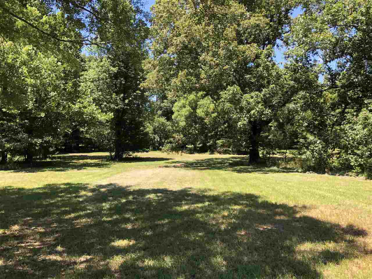 Petrified Forest Road Flora, MS 39071 - Photo 11 of 18 Photo 11
