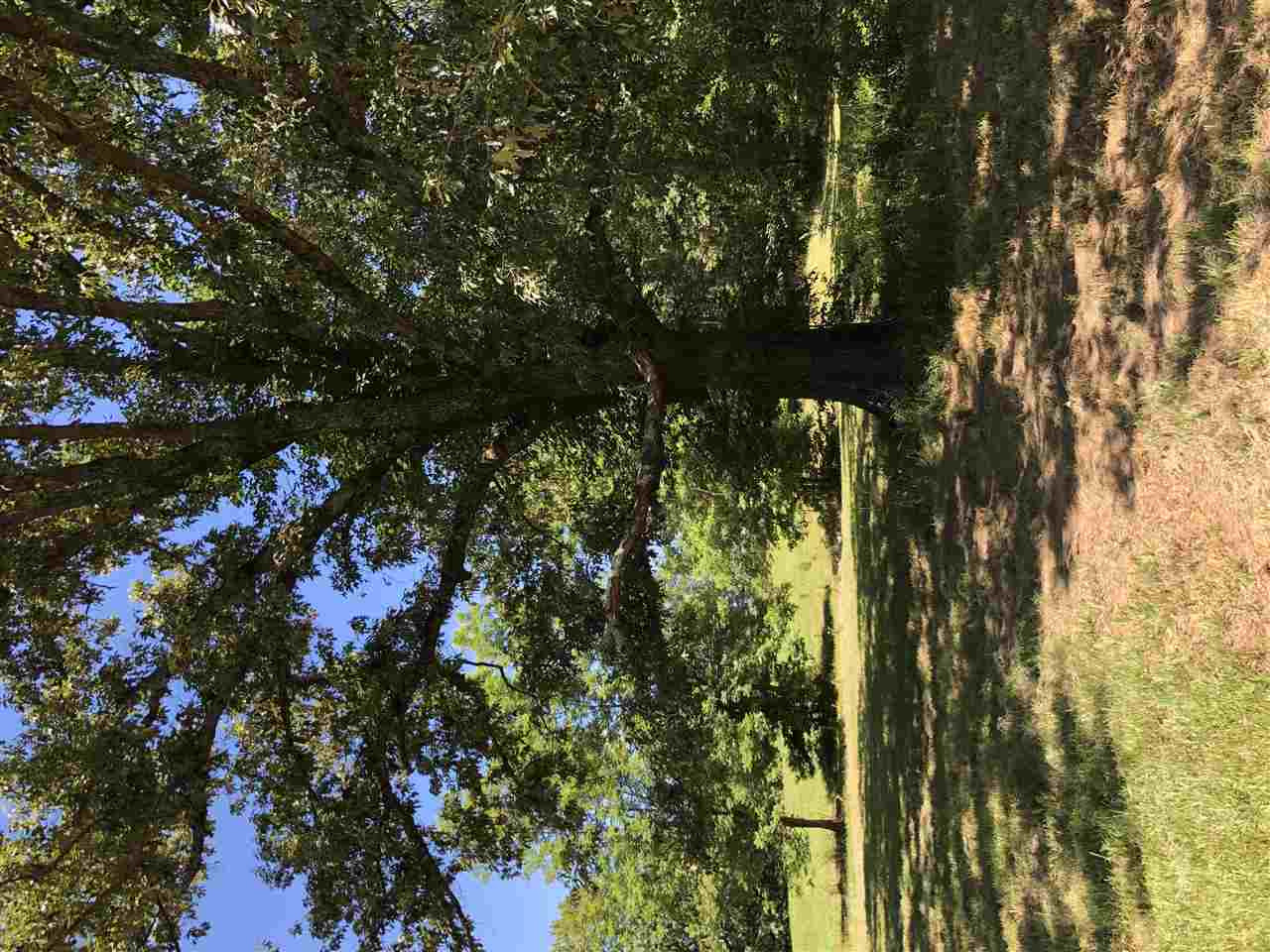 Petrified Forest Road Flora, MS 39071 - Photo 10 of 18 Photo 10
