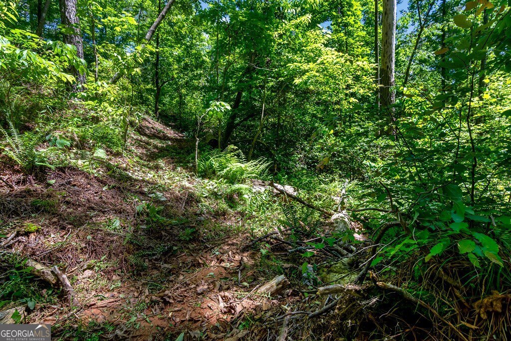 Lt160 Shallow Water Way Talking Rock, GA 30175 - Photo 11 of 27 a plant view in yard