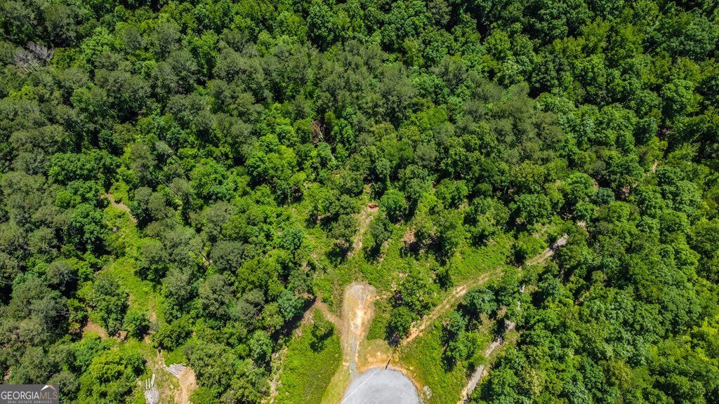 Lt160 Shallow Water Way Talking Rock, GA 30175 - Photo 12 of 27 a view of a plant in a garden