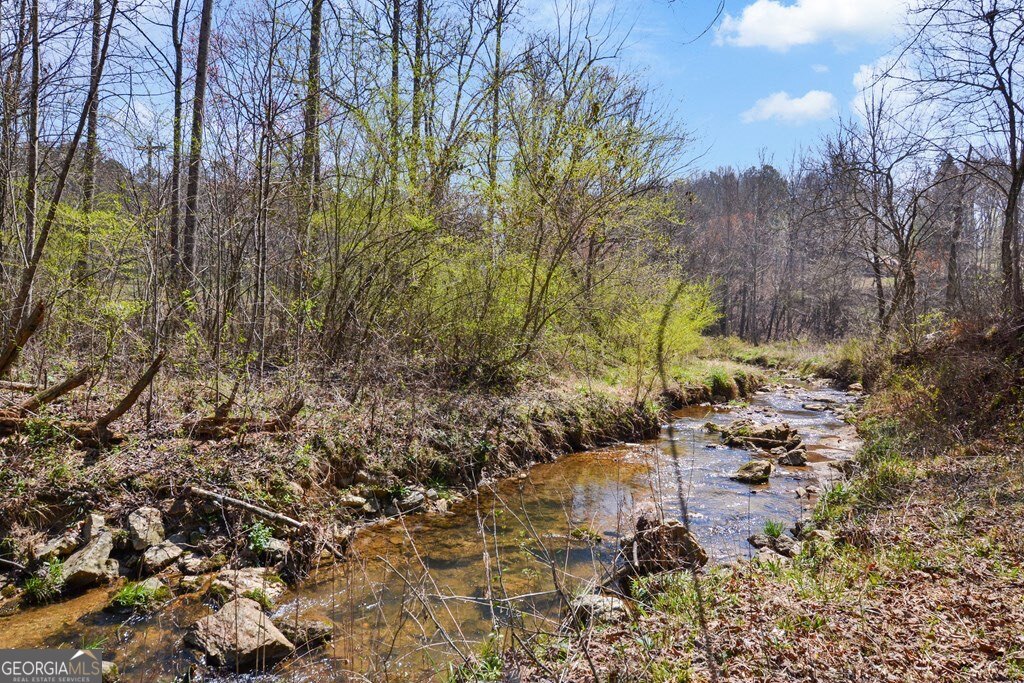 Lt160 Shallow Water Way Talking Rock, GA 30175 - Photo 19 of 27 a view of mountains and covered with trees
