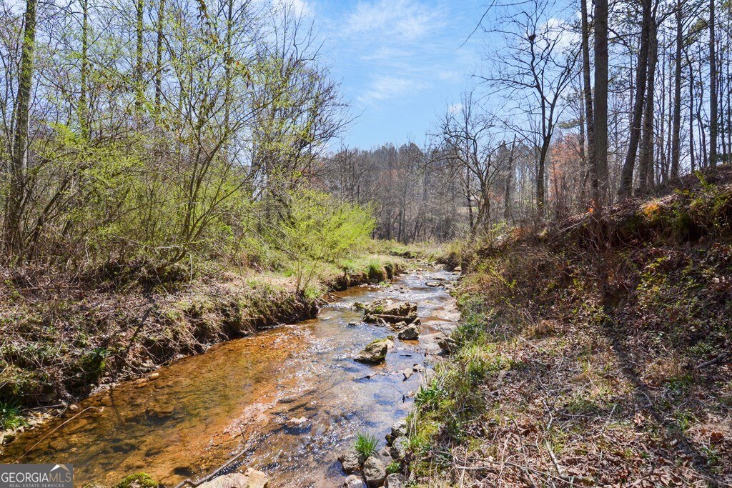 Lt160 Shallow Water Way Talking Rock, GA 30175 - Photo 20 of 27 a view of a yard with a tree