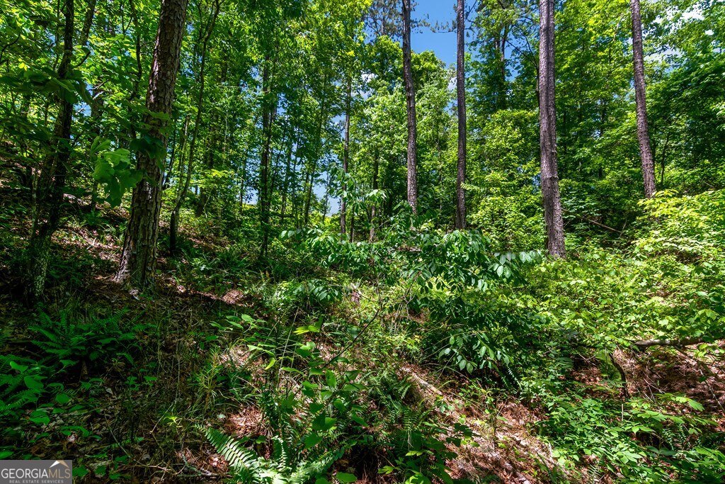 Lt160 Shallow Water Way Talking Rock, GA 30175 - Photo 3 of 27 a view of forest