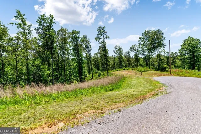 a view of a yard with large trees
