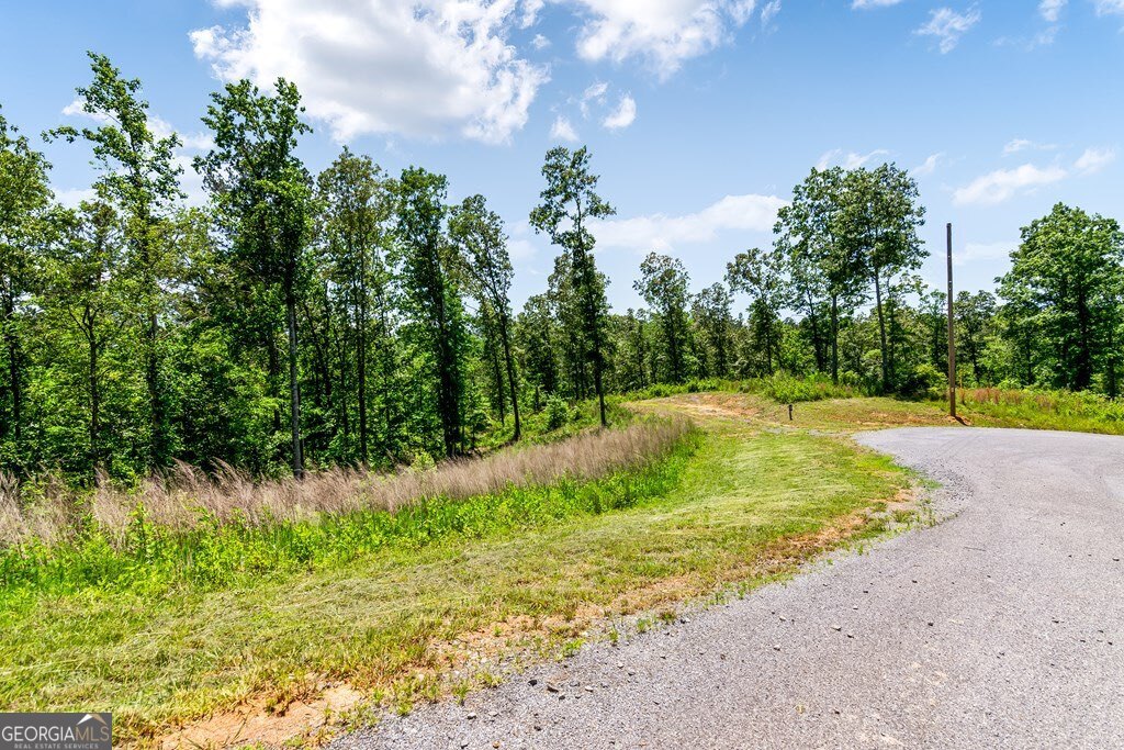 Lt160 Shallow Water Way Talking Rock, GA 30175 - Photo 4 of 27 a view of a yard with large trees
