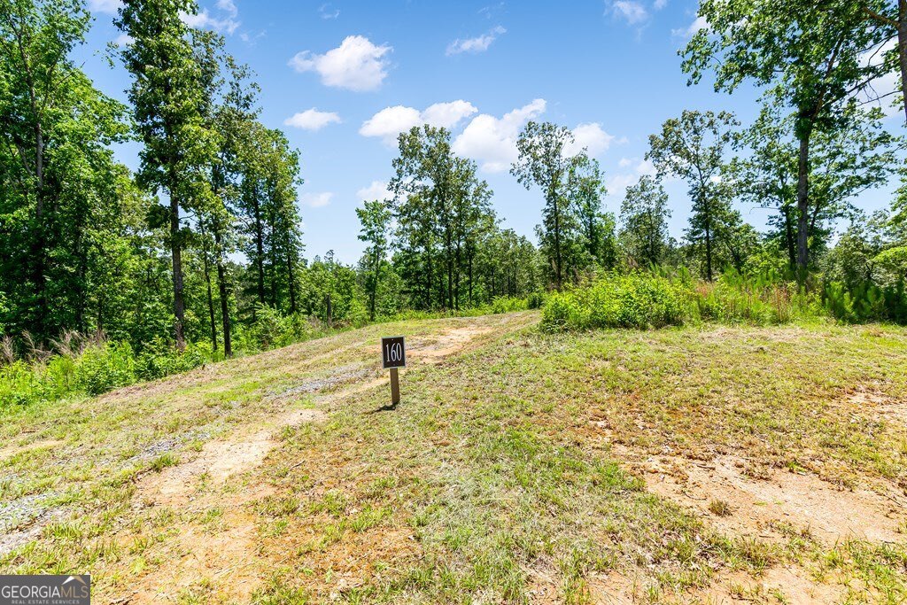Lt160 Shallow Water Way Talking Rock, GA 30175 - Photo 5 of 27 a house view with a outdoor space