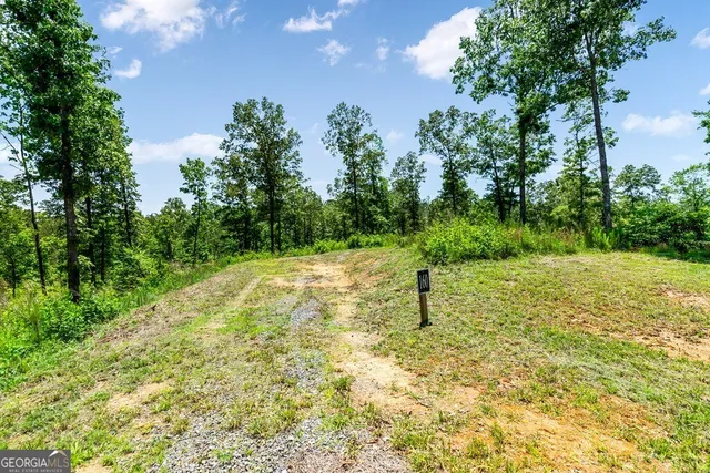 a view of a yard with a tree