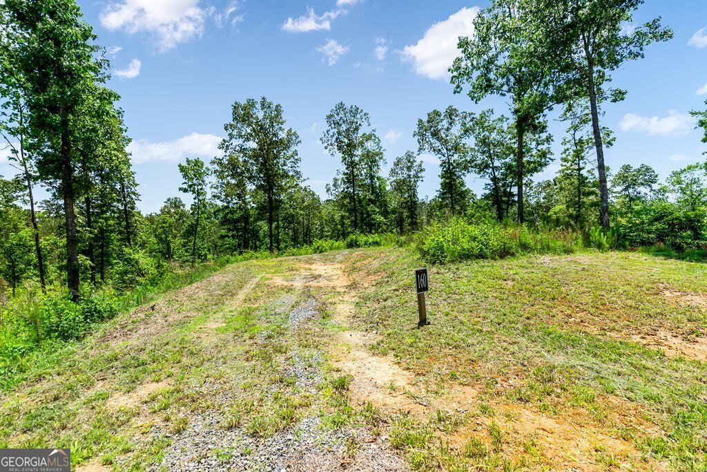Lt160 Shallow Water Way Talking Rock, GA 30175 - Photo 6 of 27 a view of a yard with a tree