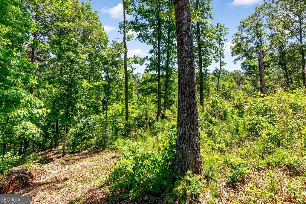 Lt160 Shallow Water Way Talking Rock, GA 30175 - Photo 7 of 27 a view of forest