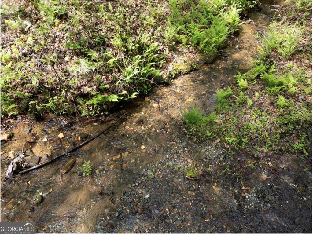 Lt160 Shallow Water Way Talking Rock, GA 30175 - Photo 8 of 27 a picture of tree