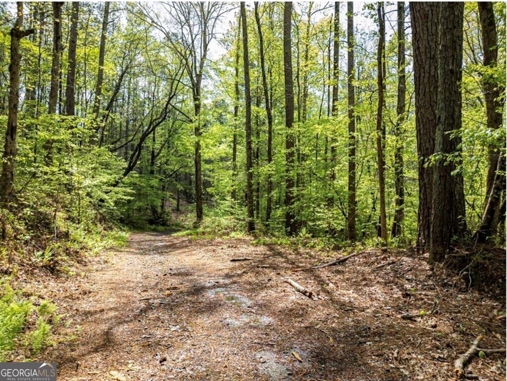 Lt160 Shallow Water Way Talking Rock, GA 30175 - Photo 9 of 27 a view of outdoor space and garden