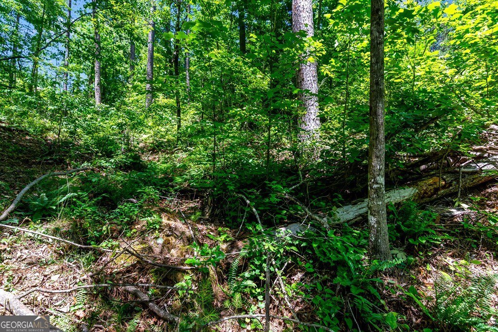 Lt160 Shallow Water Way Talking Rock, GA 30175 - Photo 10 of 27 a view of a plant in a garden