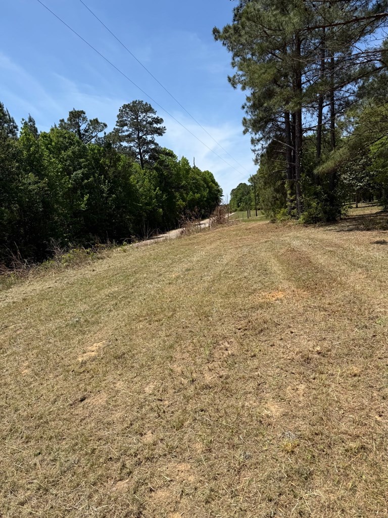 0 County Road 50 Abbeville, AL 36310 - Photo 8 of 9