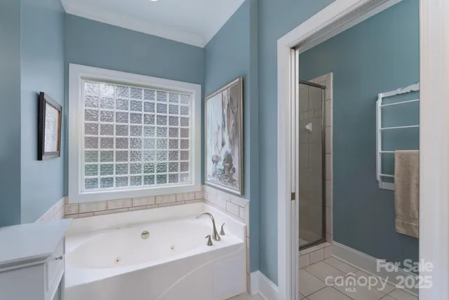 a bathroom with a bathtub and a shower