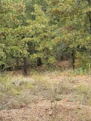 a view of a yard with a tree