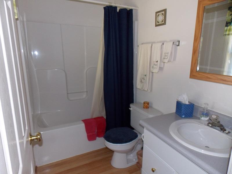 1114 Mountain View Road Vinton, VA 24179 - Photo 13 of 14 Bathroom1