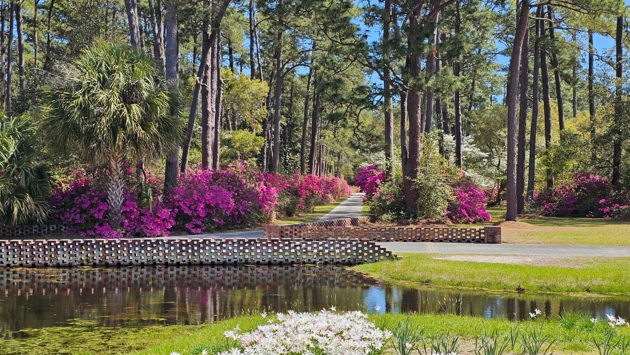 50 Turning Stone Boulelvard, Unit 8 Murrells Inlet, SC 29576 - Photo 45 of 50
