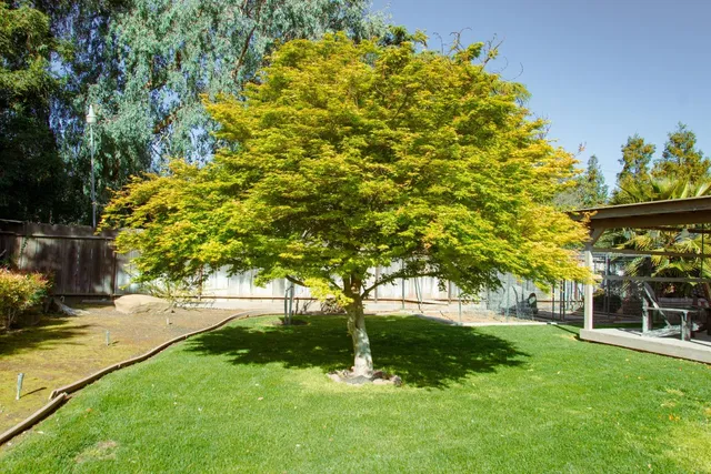 a view of a backyard with a garden