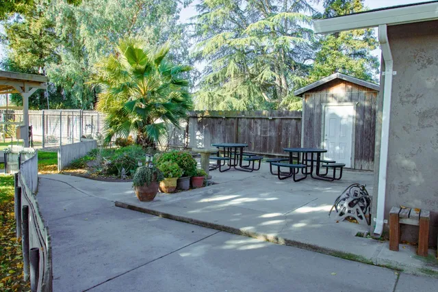 a view of a porch with chairs and potted plants