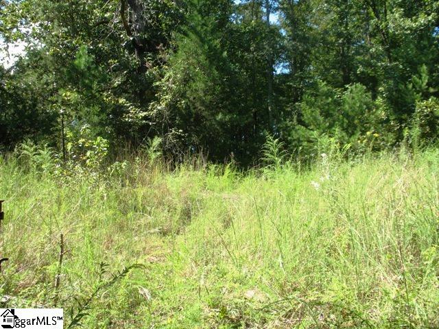 0 Burdette Road Gray Court, SC 29645 - Photo 1 of 10 Gallery Image 1