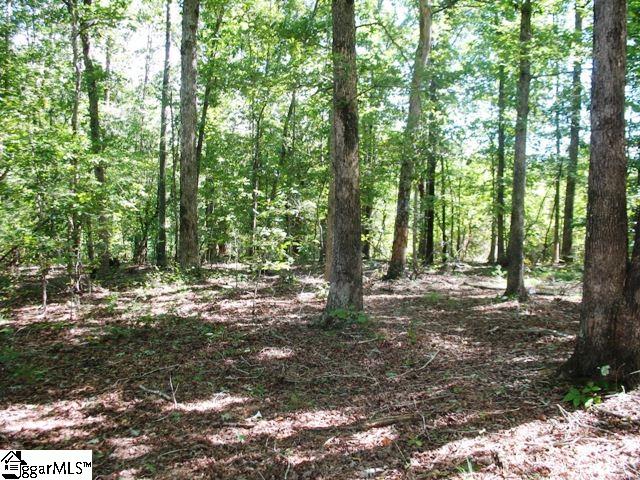 0 Burdette Road Gray Court, SC 29645 - Photo 2 of 10 Gallery Image 2