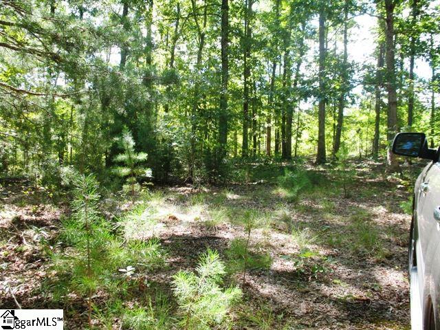 0 Burdette Road Gray Court, SC 29645 - Photo 3 of 10 Gallery Image 3