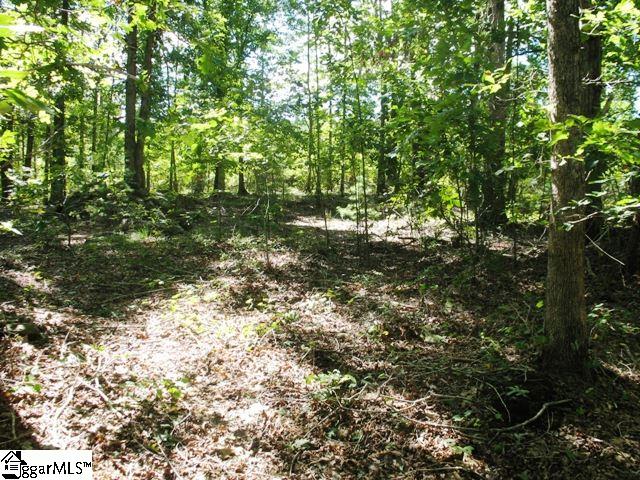 0 Burdette Road Gray Court, SC 29645 - Photo 5 of 10 Gallery Image 5