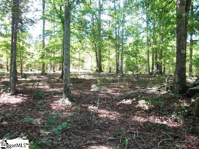 0 Burdette Road Gray Court, SC 29645 - Photo 7 of 10 Gallery Image 7