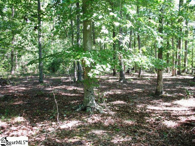 0 Burdette Road Gray Court, SC 29645 - Photo 8 of 10 Gallery Image 8