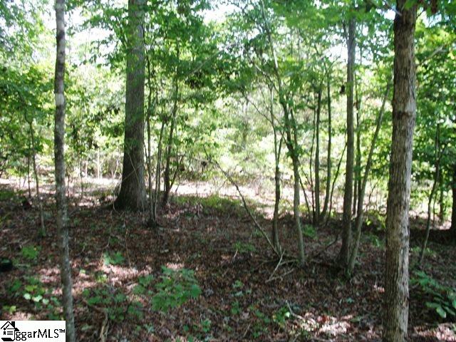 0 Burdette Road Gray Court, SC 29645 - Photo 10 of 10 Gallery Image 10
