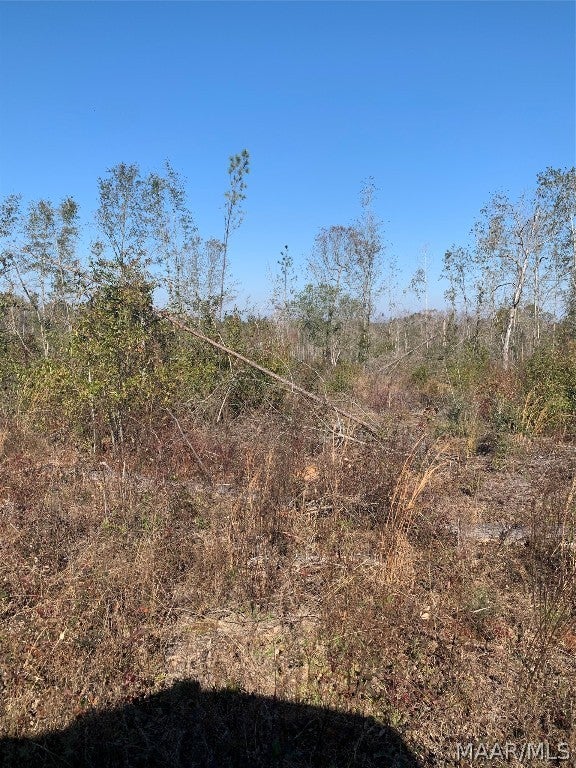0 Old Three Notch Road Brantley, AL 36009 - Photo 1 of 14 Gallery Image 1