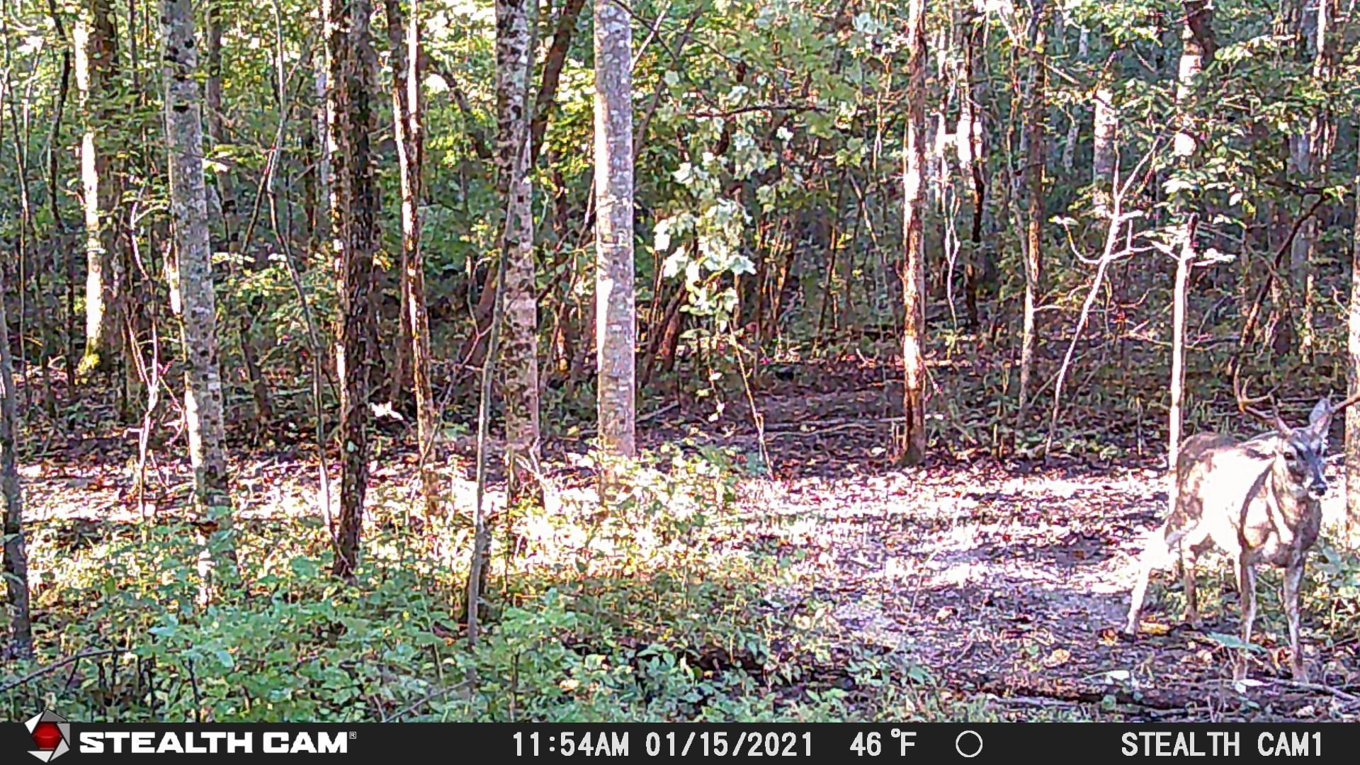 344 Calvery Road Inman, SC 29349 - Photo 14 of 18