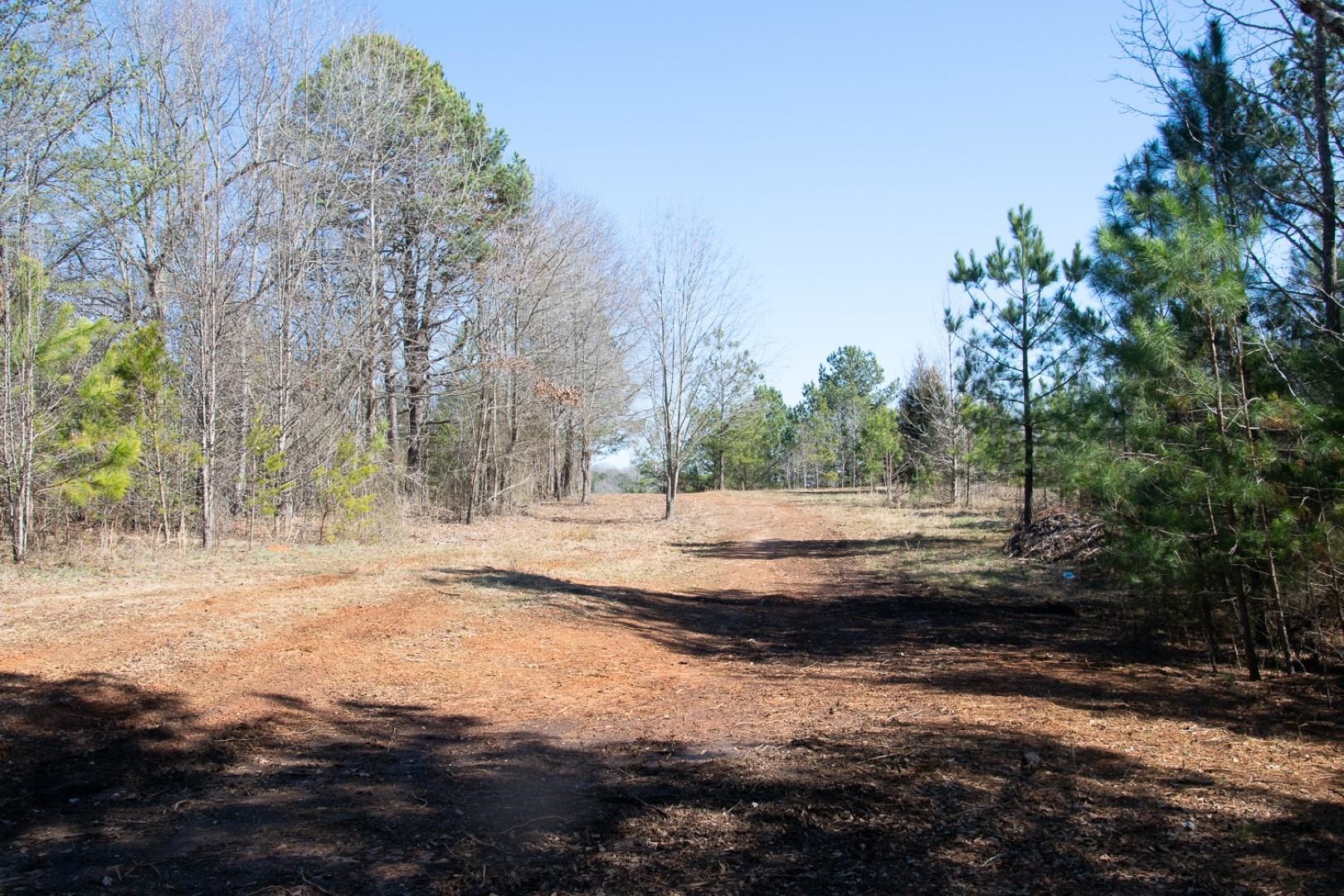 344 Calvery Road Inman, SC 29349 - Photo 2 of 18