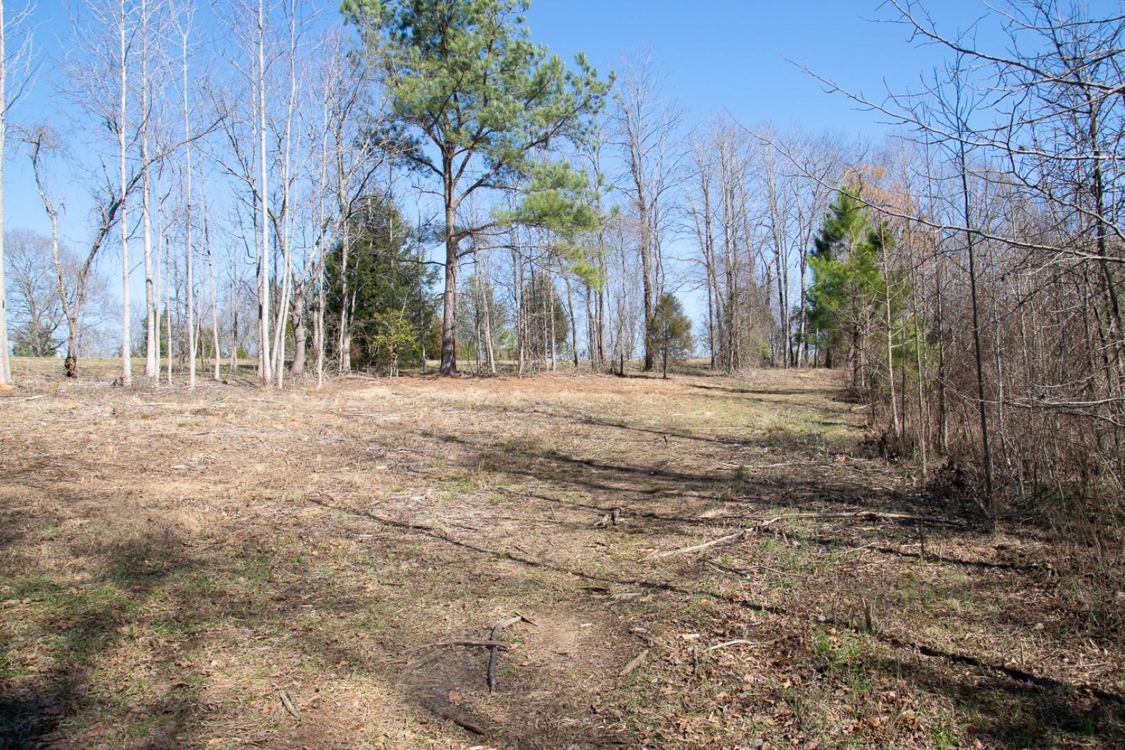 344 Calvery Road Inman, SC 29349 - Photo 7 of 18