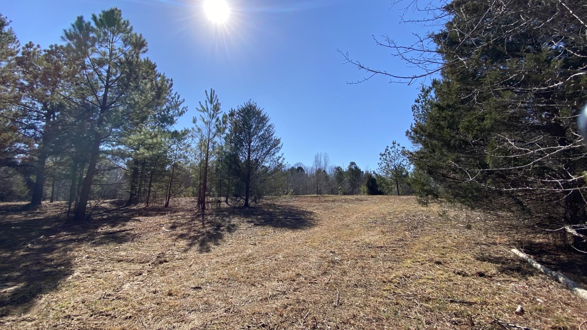 344 Calvery Road Inman, SC 29349 - Photo 8 of 18