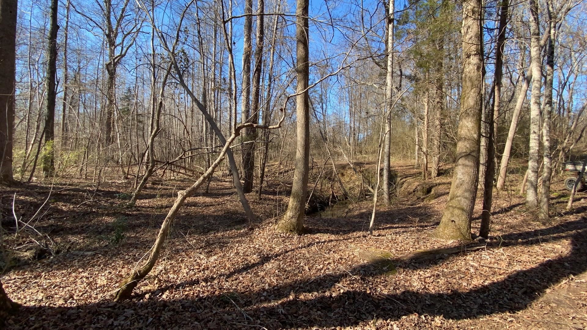 344 Calvery Road Inman, SC 29349 - Photo 10 of 18