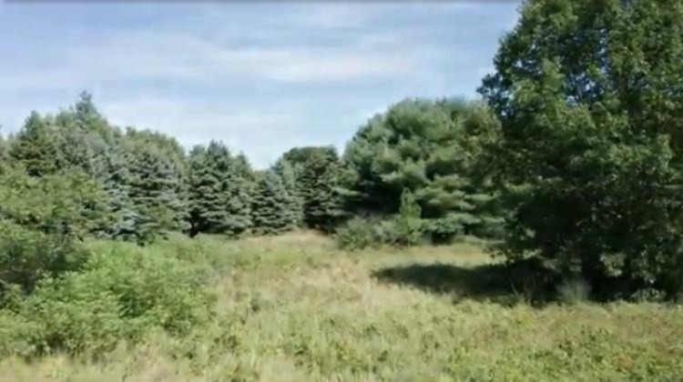 2967 Broderick Road Benton Harbor, MI 49022 - Photo 4 of 8 4F274A27-202C-408F-B7DC-2A364D73770E