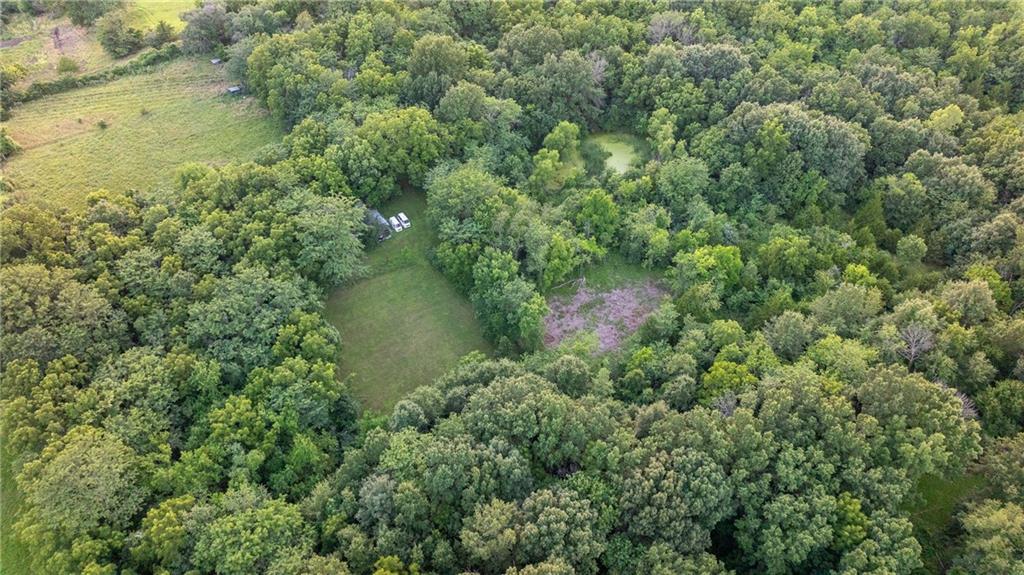 33200 East Hammond Road Lone Jack, MO 64070 - Photo 40 of 76