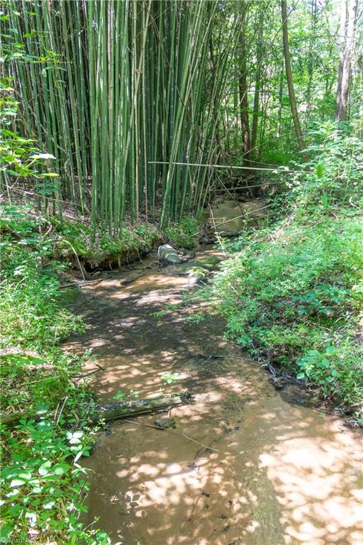 372 Gene Hege Road Lexington, NC 27295 - Photo 11 of 28 Creek