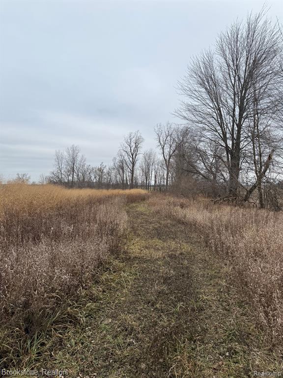 0 Brooks Road Brown City, MI 48416 - Photo 17 of 27 Gallery Image 17
