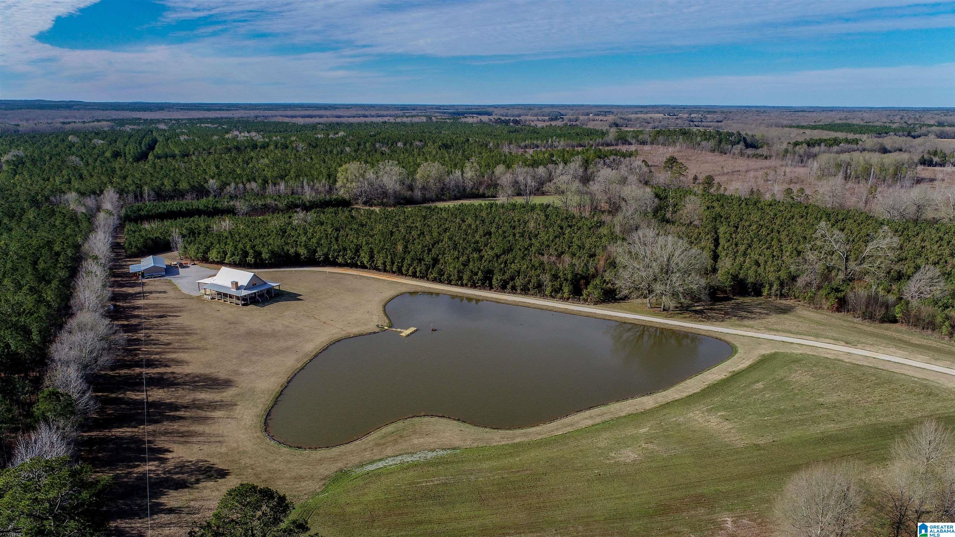 8619 County Road 33 Linden, AL 36748 - Photo 12 of 54