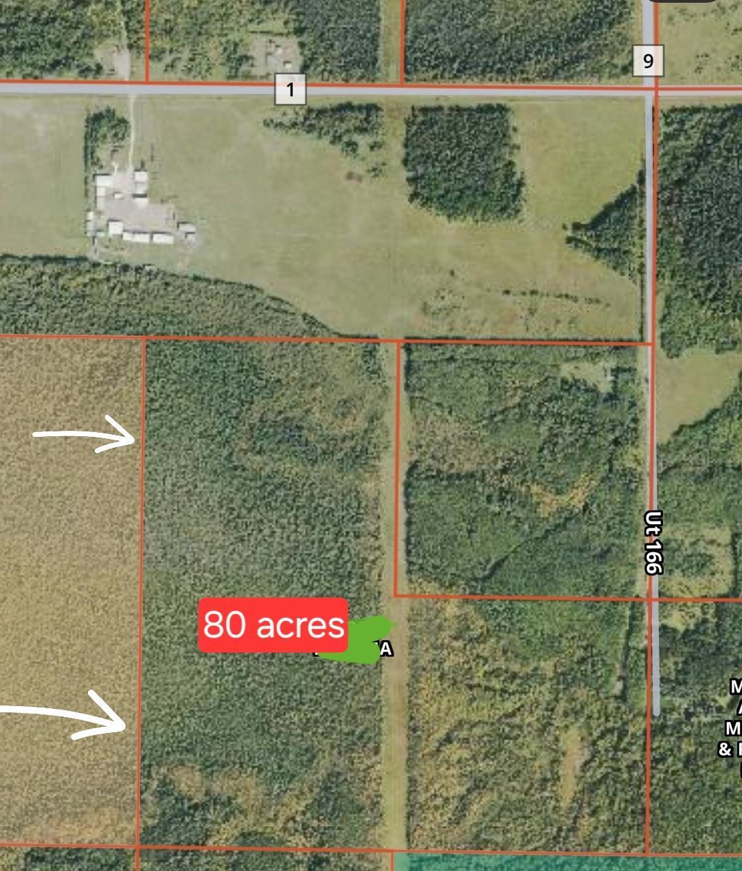 166 Littlefork Mn 56653 Littlefork, MN 56653 - Photo 11 of 11