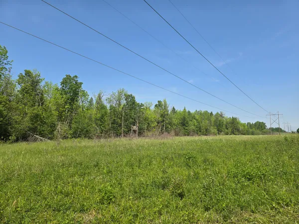 $84,999 | 166 Littlefork Mn 56653, Littlefork, MN 56653