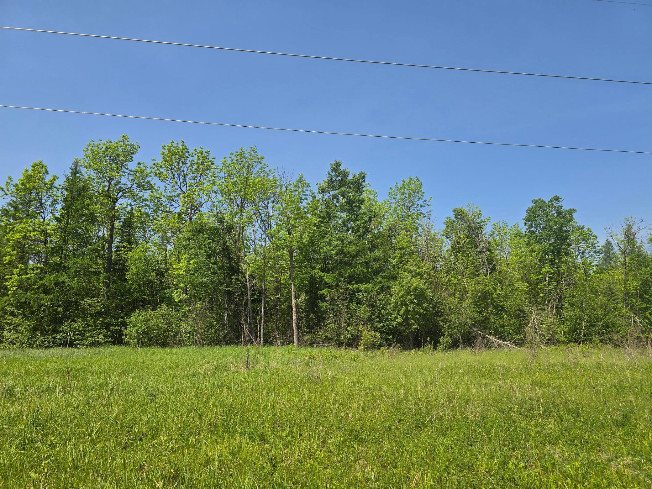 166 Littlefork Mn 56653 Littlefork, MN 56653 - Photo 5 of 11