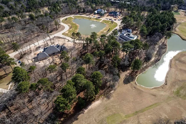 a view of a swimming pool with a yard and green space
