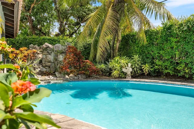 a view of a garden with plants