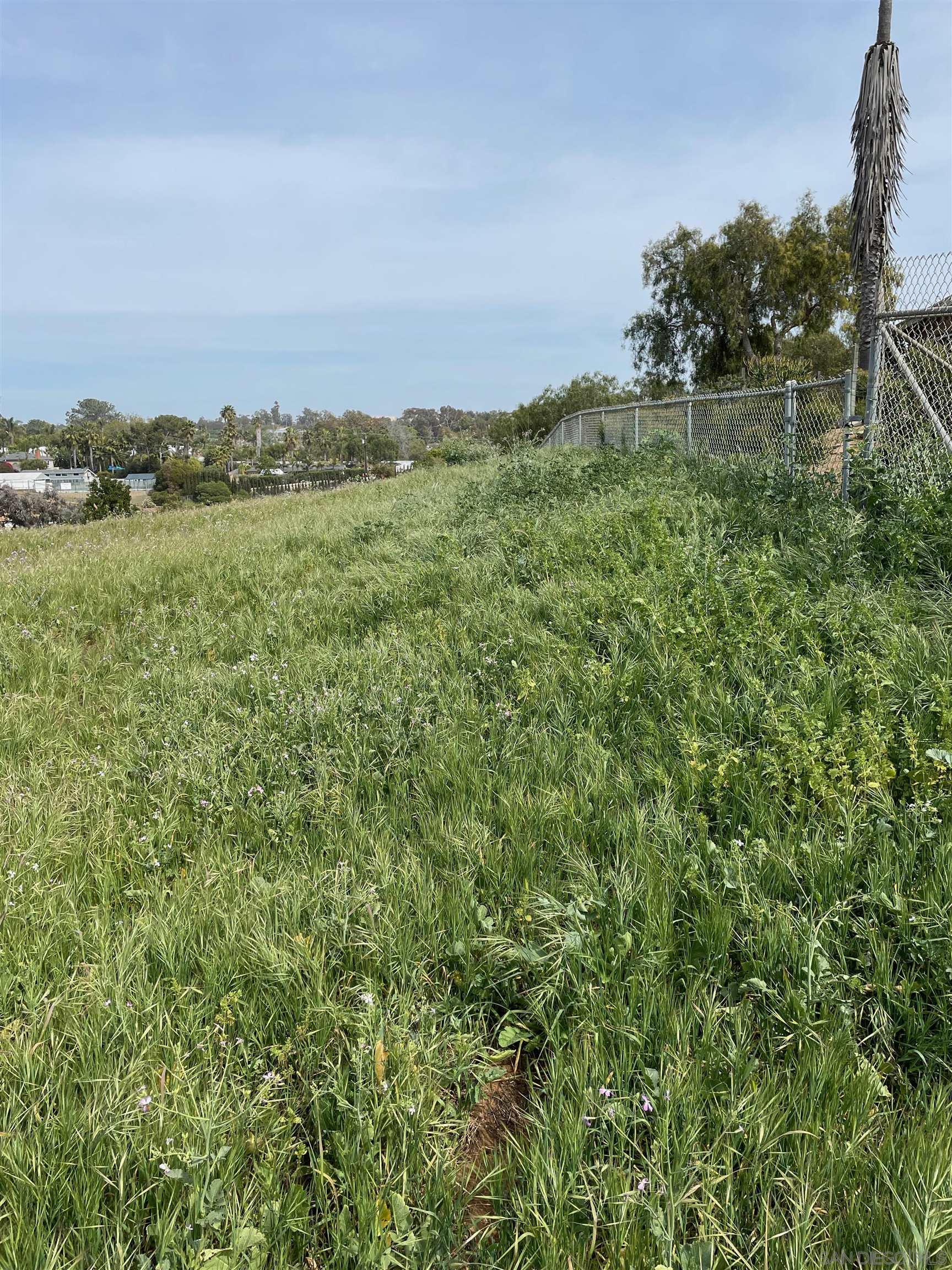 461 Ocean View Avenue Encinitas, CA 92024 - Photo 16 of 25 a view of a lake with a city