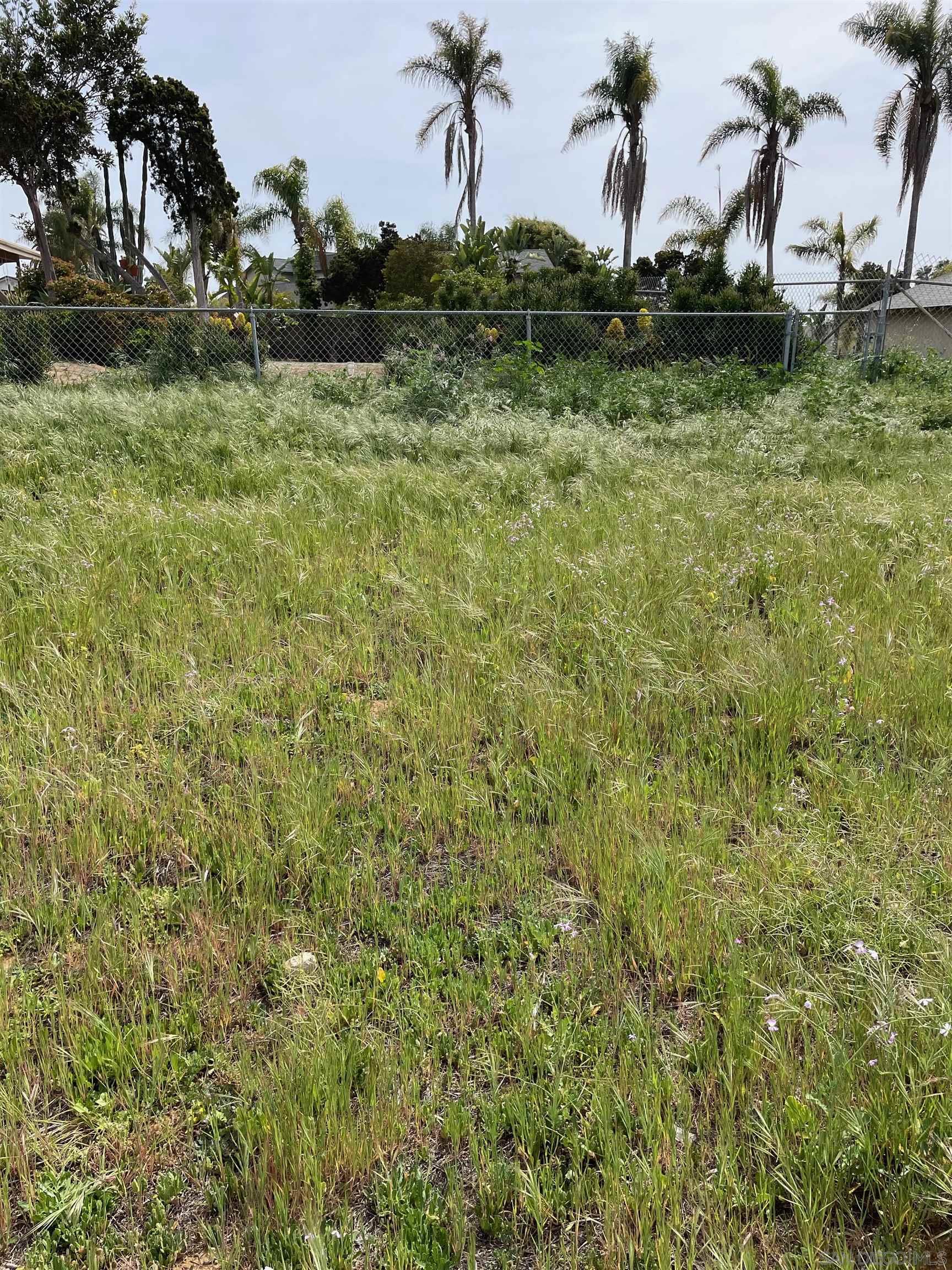 461 Ocean View Avenue Encinitas, CA 92024 - Photo 24 of 25 a view of a yard