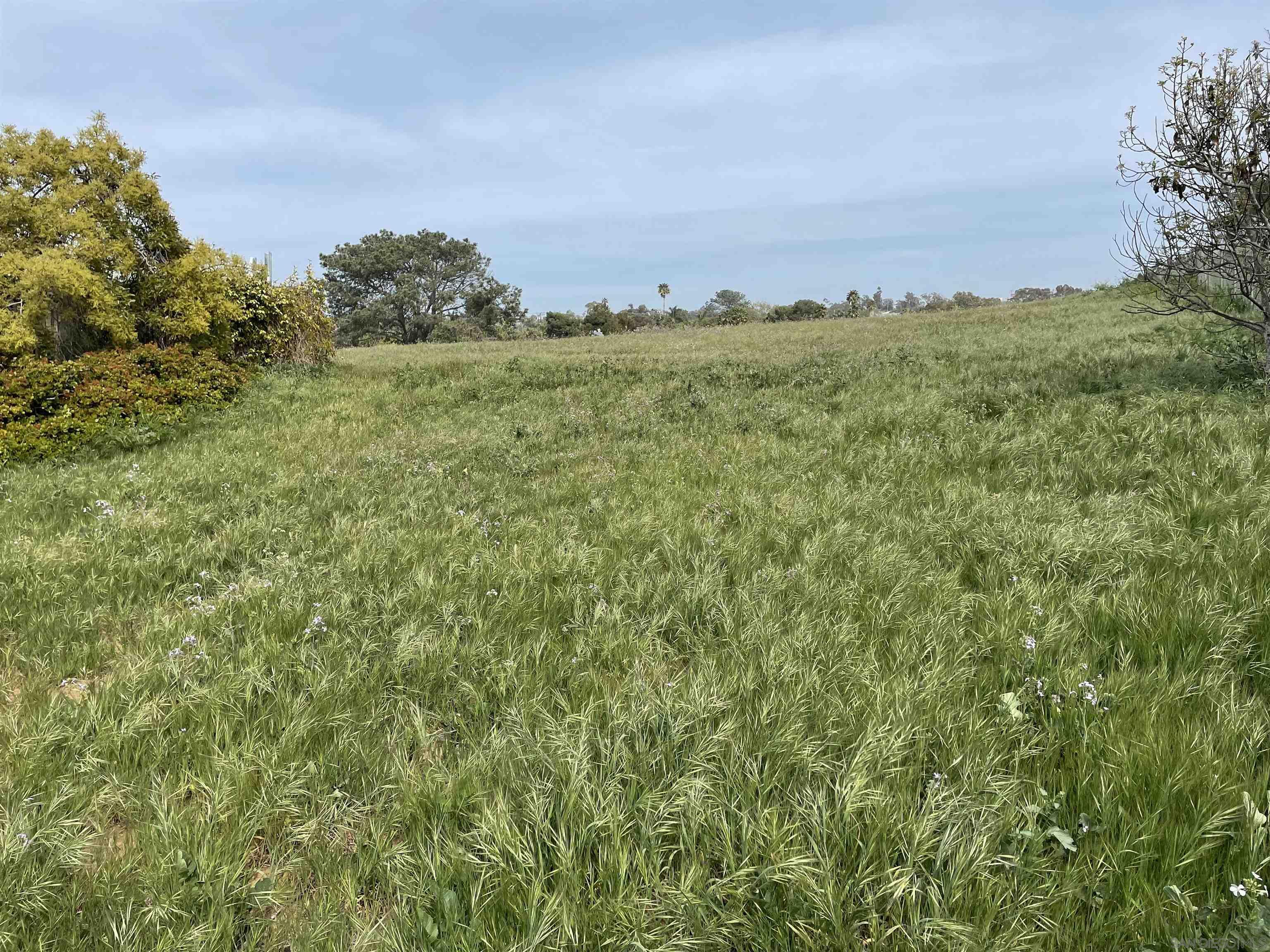 461 Ocean View Avenue Encinitas, CA 92024 - Photo 6 of 25 a view of a big green field with lots of bushes