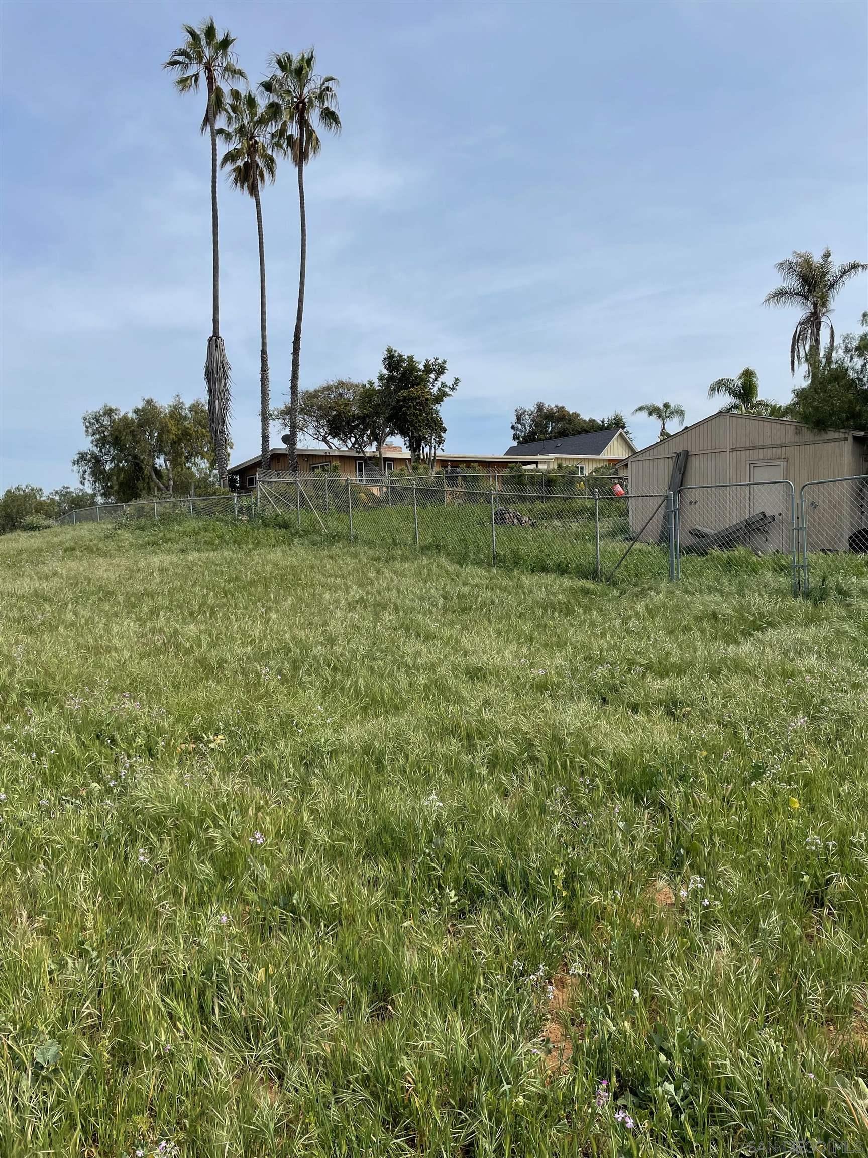 461 Ocean View Avenue Encinitas, CA 92024 - Photo 7 of 25 a palm tree sitting in a yard with plants